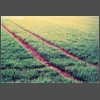 cross004.jpg